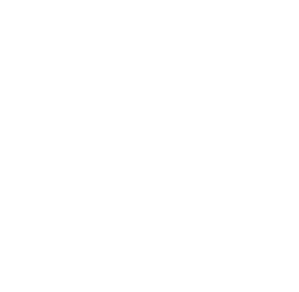 New Life Recovery